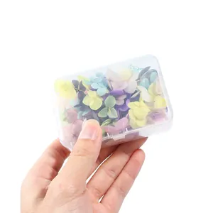 Colorful mixed dried flowers for nail art in a transparent storage box for DIY manicure