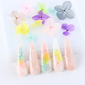 Detail of colorful dried flowers for nail art and long stiletto jelly nails with floral inlay