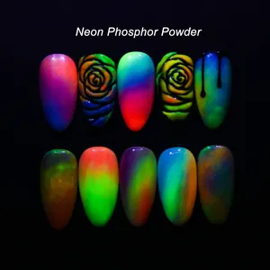 Neon-Leuchtpulver-Nagelkunstset mit bunten Farbverläufen und 3D-Blumendesigns auf Schwarz