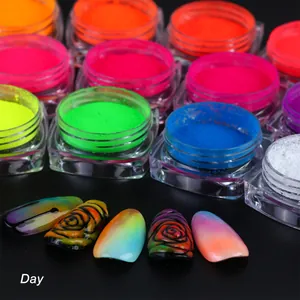 Neon Phosphorpulver Leuchtet Im Dunkeln Nail Art Glitter Fluoreszierendes Pigment Für DIY Nageldekoration Salon Party Damen Zubehör