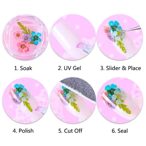 Six-step tutorial showing how to apply dried flowers on nails using UV gel and tools