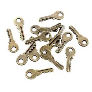 Vintage Bronze-Legierung Schlüsselanhänger für DIY Schmucksets auf weißem Grund