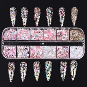 Set di glitter luminosi per unghie a 12 griglie con stelle e cuori olografici