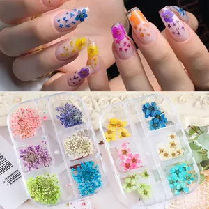 Fiori Secchi Naturali Per Nail Art In Scatola Multi-Grid Mini Petali Floreali Per Decorazione Manicure DIY Stile Giapponese Charms Botanici Per Donna