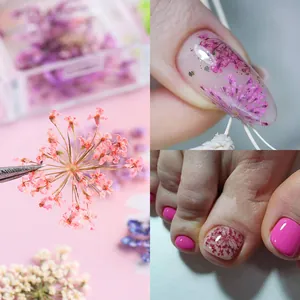 Scatola da 6 scomparti con fiori secchi rosa e bianchi per decorazione unghie fai-da-te