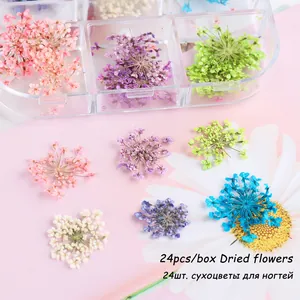 Vista macro di 24 pezzi di fiori secchi colorati in una scatola a 6 griglie per nail art