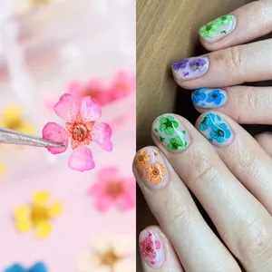Set per nail art con fiori secchi naturali multicolori per decorazione unghie fai-da-te