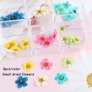 Dettaglio scatola a 6 griglie con fiori secchi colorati per decorazione nail art