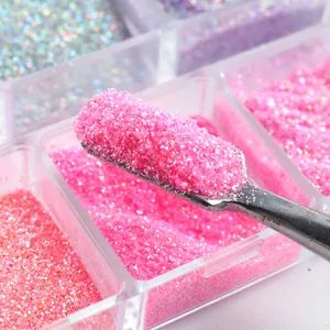 Macro shot of fine pink nail art sugar powder and metal spoon tool in a 6-grid clear box