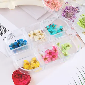 Vista macro di fiori secchi colorati in scatola per decorazioni per unghie e nail art