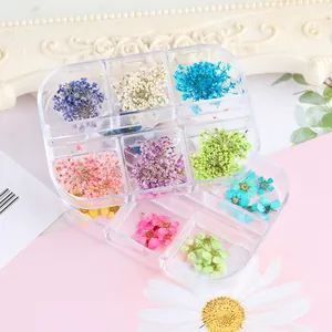 Vista macro di una scatola a 6 griglie con fiori secchi colorati per nail art e girasoli