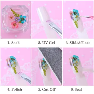 Guida dettagliata passo dopo passo per nail art fai-da-te con fiori secchi naturali colorati