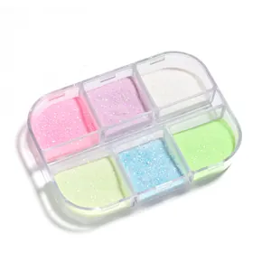 6-Farben Set leuchtendes Glitzerpuder für Nagelkunst in einer klaren Box