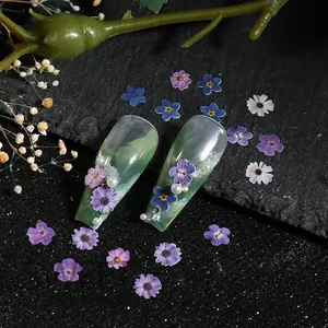 Macro detail of floral nail art decals with purple and blue wood pulp flower petals