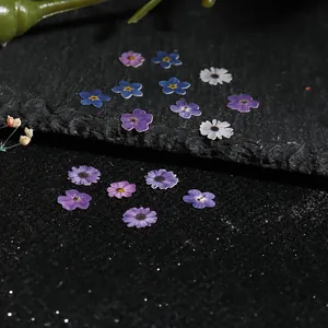 Macro shot of colorful cherry blossom and daisy wood pulp nail art stickers on a black base