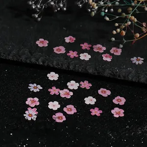Macro detail of pink cherry blossom wood pulp flakes for nail art on black stone background