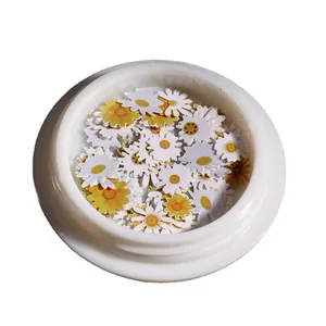 Nail art wood pulp flakes with daisy floral design in a round storage case
