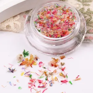 Macro view of colorful dried flower petals for nail art in a clear textured jar