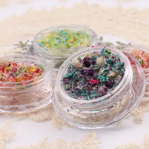 Macro detail of assorted colorful dried flower petals for nail art in clear round jars