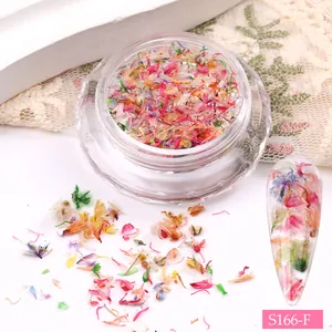 Macro detail of mixed colorful dried flowers in a clear jar for floral nail art decoration