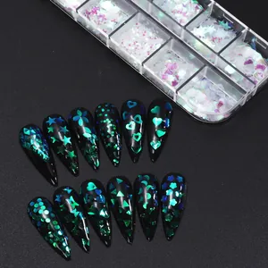 Holografische Nagelkunst-Pailletten in Herz- und Sternform mit 12-Fächer-Box
