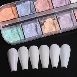 Makroaufnahme von 12-Gitter Aurora Nageglitzer Puder Set mit irisierenden Details