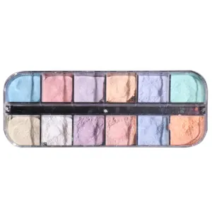 12-Farben irisierende Nagelglitzer-Puder-Palette in transparenter Kunststoffbox