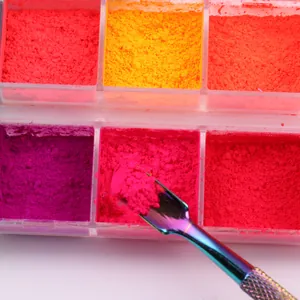 Neon Nagelglitzer Set mit leuchtendem fluoreszierendem Puder und irisierendem Werkzeug