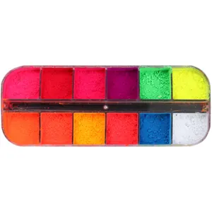 12 leuchtende Neon Nagelglitzer Puder Set in klarer rechteckiger Aufbewahrungsbox