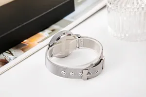 Vista dettagliata del cinturino in maglia di acciaio inossidabile argento e della chiusura