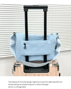 Detail of blue canvas bag with a trolley sleeve attached to a pink suitcase handle
