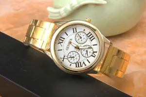 Detail view of gold Geneva quartz watch with Roman numerals and stainless steel link band