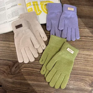 Dikke gebreide touchscreen handschoenen voor dames in crème, lila en groen voor de winter