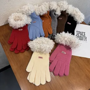 Women Winter Knitted Gloves With Faux Lamb Wool Trim Warm Windproof Touchscreen Opening Korean Fashion Casual Gloves