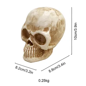 Detailed dimension guide for the resin skull head model with 10cm height measurements