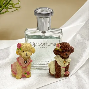 Cute poodle resin fridge magnets with lace dress for home decor and creative gifts