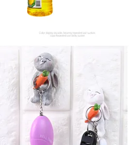 Detail of rabbit wall hooks showing load-bearing capacity with keys and container