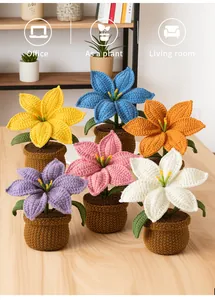 Detail of six colorful handmade crochet potted flowers for office and living room decor