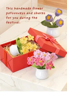Detail of handmade crochet forget-me-not potted flowers in a premium gift box