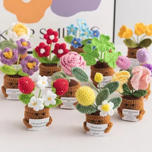 Handgemaakte gehaakte planten met gezichten en motivatiekaarten voor bureau decoratie