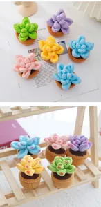 Detail of colorful crochet succulent plants with delicate handmade knitting textures