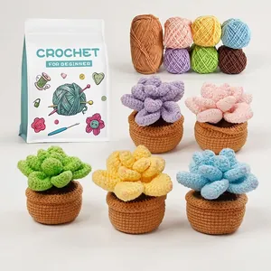 DIY Häkelset Für Anfänger Sukkulenten Topfpflanzen Handgefertigtes Garn Strickmaterialpaket Mit Videoanleitung Home Deko Geschenk