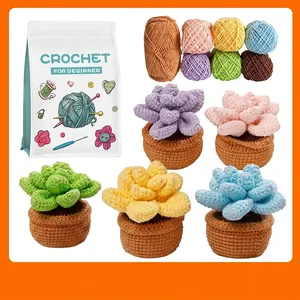 DIY Crochet Kit For Beginners Succulent Potted Plants Handmade Yarn Knitting Materials Package With Video Instructions Home Decor Gift