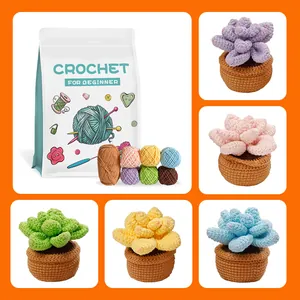 DIY crochet kit for beginners with colorful yarn to create succulent potted plants