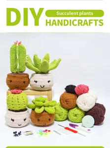 Detail view of DIY crochet kit including colorful yarn, crochet hook and succulent pots