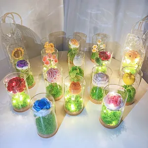 Gehäkelte Sonnenblume Nachtlicht im Glasdom mit warmen LED-Lichterketten und Geschenktüte