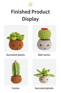 Finished crochet potted plants set featuring mini cactus and succulents with cute faces
