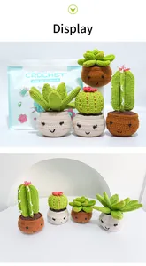 Finished crochet potted succulent plants and cactus kit display for beginners