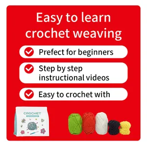 Detailoverzicht DIY haakpakket voor beginners met gekleurd garen en ritszak