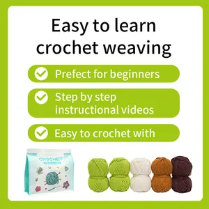 DIY crochet kit for beginners featuring colorful yarn and cacti potted plant video tutorials
